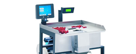 Autobag Accu-Scale 220 Infeed System