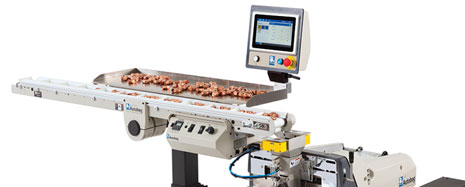 Autobag Maximizer Continuous Motion Conveyor